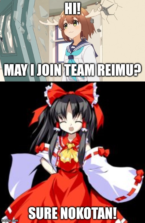 Nokotan joins Team Reimu | HI! MAY I JOIN TEAM REIMU? SURE NOKOTAN! | image tagged in nokotan enterence,reimu hakurei | made w/ Imgflip meme maker