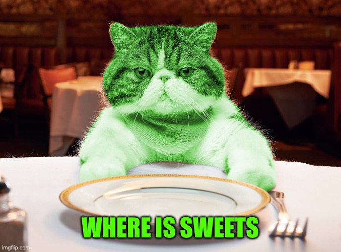RayCat Hungry | WHERE IS SWEETS | image tagged in raycat hungry | made w/ Imgflip meme maker