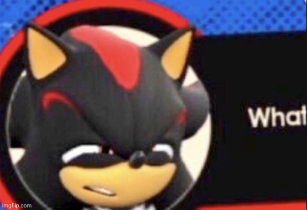 Shadow: What? | image tagged in shadow what | made w/ Imgflip meme maker