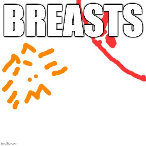 BREASTS 2 | image tagged in breasts 2 | made w/ Imgflip meme maker
