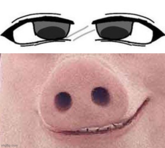John pork | image tagged in john pork | made w/ Imgflip meme maker