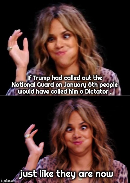 Lovely Halle Berry | If Trump had called out the National Guard on January 6th people would have called him a Dictator , just like they are now | image tagged in lovely halle berry | made w/ Imgflip meme maker