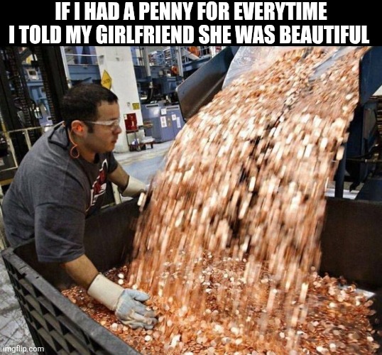 If I Had A Penny For Everytime I Told My Girlfriend She Was Beautiful | IF I HAD A PENNY FOR EVERYTIME I TOLD MY GIRLFRIEND SHE WAS BEAUTIFUL | image tagged in chrisjoines1 | made w/ Imgflip meme maker