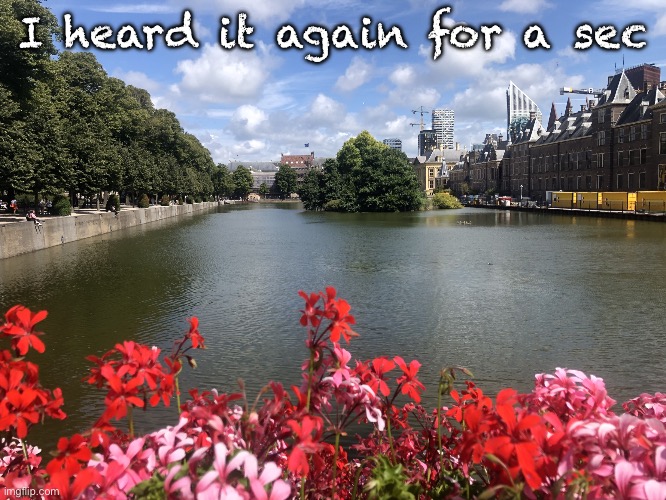 Roses | I heard it again for a sec | image tagged in roses | made w/ Imgflip meme maker