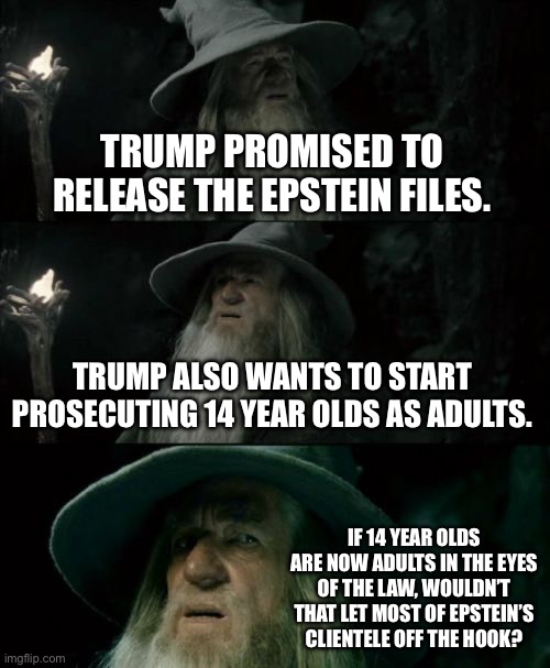 The deep state pedophile cabal is here, and Trump is its ringmaster. | TRUMP PROMISED TO RELEASE THE EPSTEIN FILES. TRUMP ALSO WANTS TO START PROSECUTING 14 YEAR OLDS AS ADULTS. IF 14 YEAR OLDS ARE NOW ADULTS IN THE EYES OF THE LAW, WOULDN’T THAT LET MOST OF EPSTEIN’S CLIENTELE OFF THE HOOK? | image tagged in memes,confused gandalf,donald trump,jeffrey epstein,deep state | made w/ Imgflip meme maker