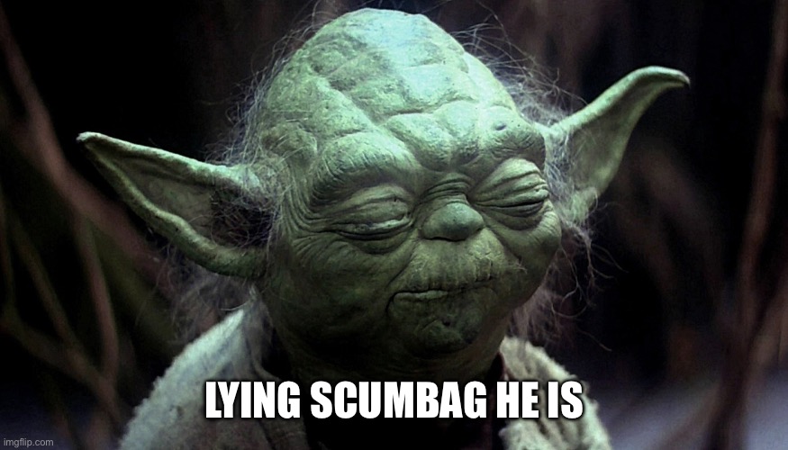 LYING SCUMBAGS | LYING SCUMBAG HE IS | image tagged in lying scumbags | made w/ Imgflip meme maker