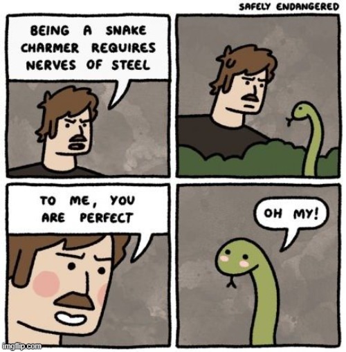 Flattery will get you everywhere! | image tagged in vince vance,snakes,snake charmer,cartoon,flattery,charmed | made w/ Imgflip meme maker