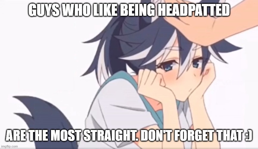 Headpats | GUYS WHO LIKE BEING HEADPATTED; ARE THE MOST STRAIGHT. DON'T FORGET THAT :) | image tagged in headpats | made w/ Imgflip meme maker
