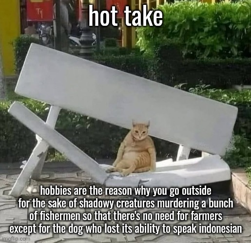 cat on broken bench | hot take; hobbies are the reason why you go outside for the sake of shadowy creatures murdering a bunch of fishermen so that there's no need for farmers except for the dog who lost its ability to speak indonesian | image tagged in cat on broken bench | made w/ Imgflip meme maker