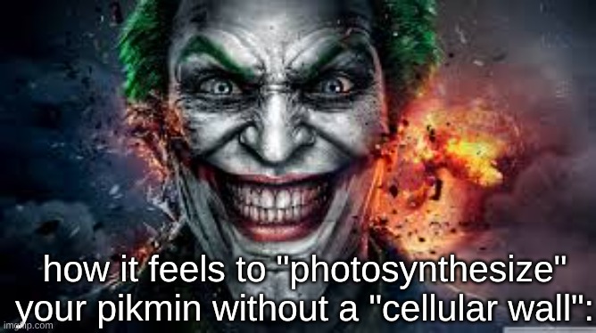 yurpsicles | how it feels to "photosynthesize" your pikmin without a "cellular wall": | image tagged in jonkler | made w/ Imgflip meme maker