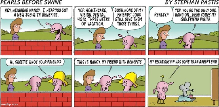 Pearls Before Swine | image tagged in comics | made w/ Imgflip meme maker