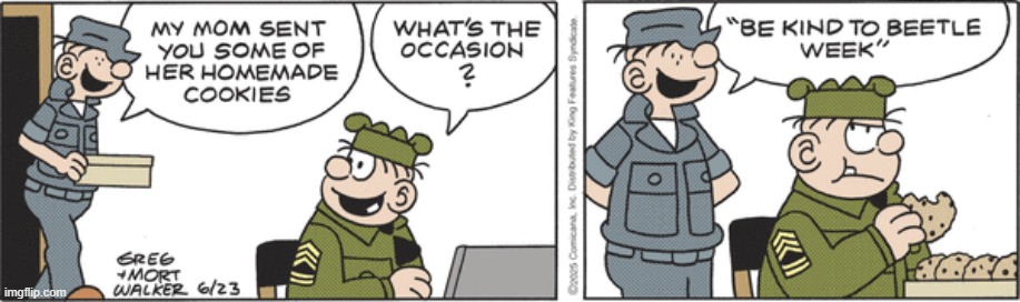 Beetle Bailey | image tagged in comics | made w/ Imgflip meme maker