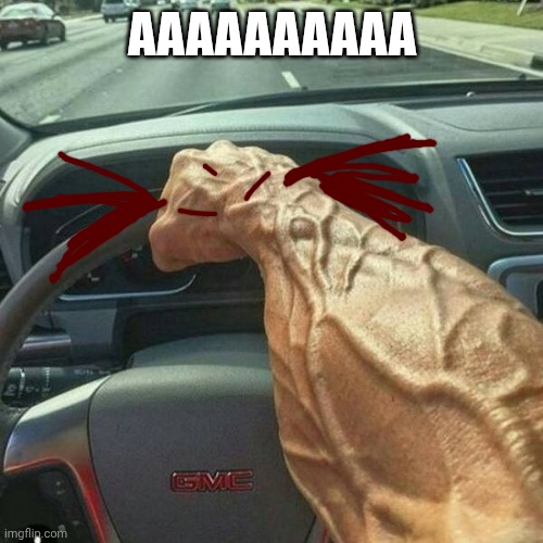 Muscle Arm Driver | AAAAAAAAAA | image tagged in muscle arm driver | made w/ Imgflip meme maker