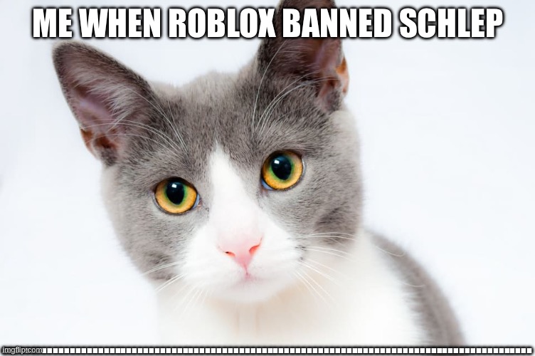 Is That Orion | ME WHEN ROBLOX BANNED SCHLEP; …………………………………………………………………………………. | image tagged in is that orion | made w/ Imgflip meme maker