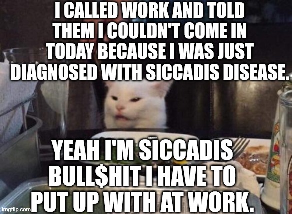 Smudge that darn cat | I CALLED WORK AND TOLD THEM I COULDN'T COME IN TODAY BECAUSE I WAS JUST DIAGNOSED WITH SICCADIS DISEASE. YEAH I'M SICCADIS BULL$HIT I HAVE TO PUT UP WITH AT WORK. | image tagged in smudge that darn cat | made w/ Imgflip meme maker