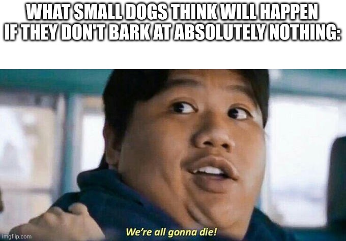 My dog does this | WHAT SMALL DOGS THINK WILL HAPPEN IF THEY DON'T BARK AT ABSOLUTELY NOTHING: | image tagged in we're all gonna die,annoying,memes,funny,dogs,relatable | made w/ Imgflip meme maker