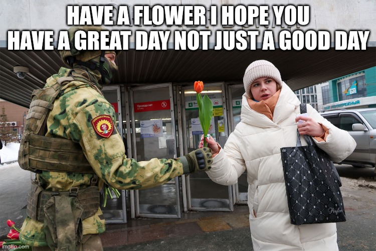 soldier | HAVE A FLOWER I HOPE YOU HAVE A GREAT DAY NOT JUST A GOOD DAY | image tagged in soldier | made w/ Imgflip meme maker