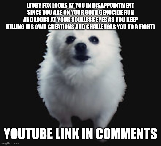 Toby Fox of shame | (TOBY FOX LOOKS AT YOU IN DISAPPOINTMENT SINCE YOU ARE ON YOUR 90TH GENOCIDE RUN AND LOOKS AT YOUR SOULLESS EYES AS YOU KEEP KILLING HIS OWN CREATIONS AND CHALLENGES YOU TO A FIGHT); YOUTUBE LINK IN COMMENTS | image tagged in gabe the dog | made w/ Imgflip meme maker