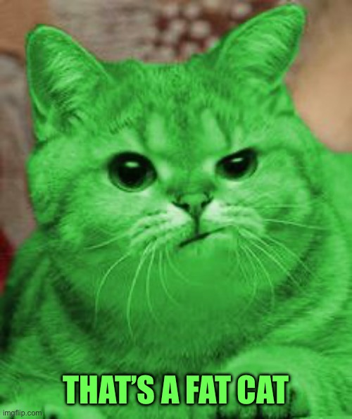 RayCat Annoyed | THAT’S A FAT CAT | image tagged in raycat annoyed | made w/ Imgflip meme maker