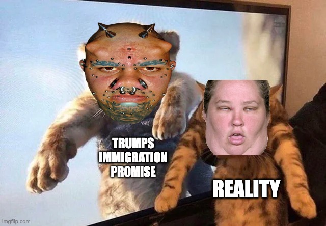 MS13 my ass | TRUMPS IMMIGRATION PROMISE; REALITY | made w/ Imgflip meme maker