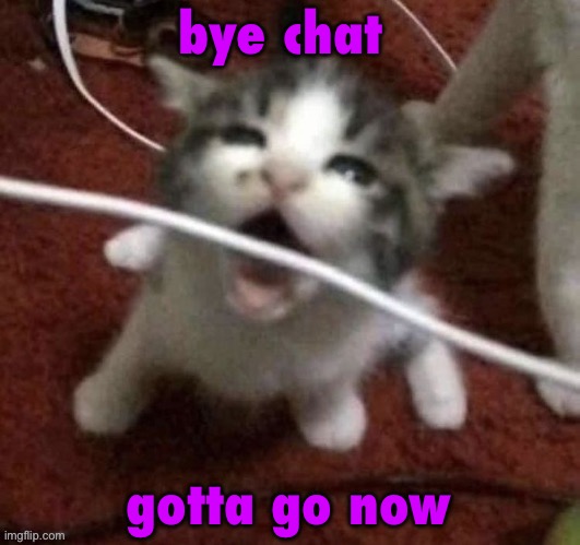 I LOVE EATING CABLES | bye chat; gotta go now | image tagged in i love eating cables | made w/ Imgflip meme maker