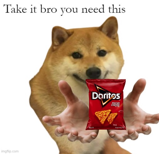 Take It Bro You Need This Blank | image tagged in take it bro you need this blank | made w/ Imgflip meme maker