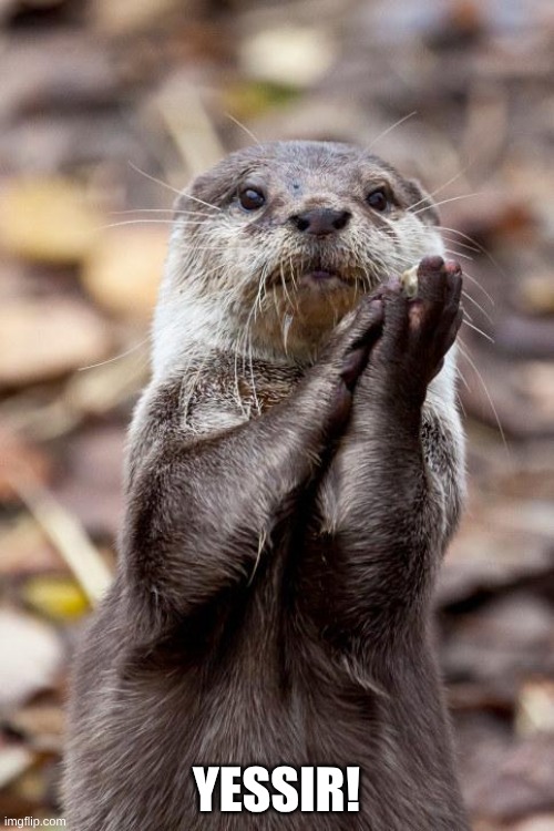 Slow-Clap Otter | YESSIR! | image tagged in slow-clap otter | made w/ Imgflip meme maker