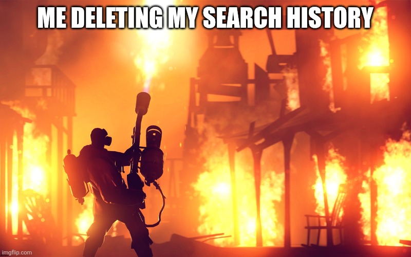 BURN IT DOWN | ME DELETING MY SEARCH HISTORY | image tagged in burn it down | made w/ Imgflip meme maker