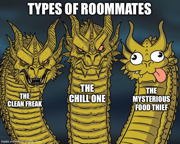 Three-headed Dragon | TYPES OF ROOMMATES; THE CHILL ONE; THE MYSTERIOUS FOOD THIEF; THE CLEAN FREAK | image tagged in three-headed dragon | made w/ Imgflip meme maker