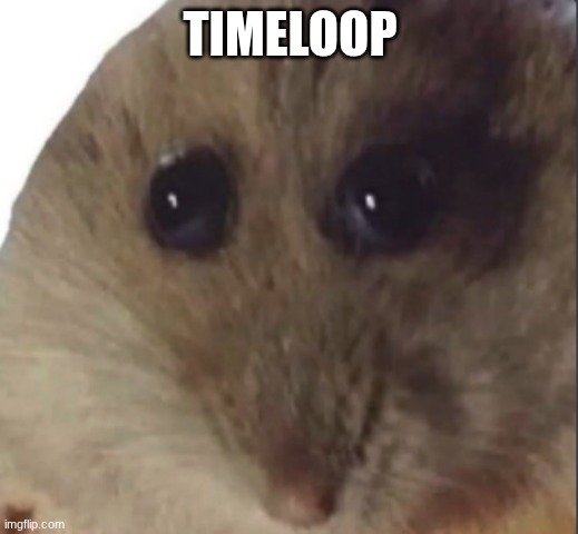 Hampter | TIMELOOP | image tagged in hampter | made w/ Imgflip meme maker
