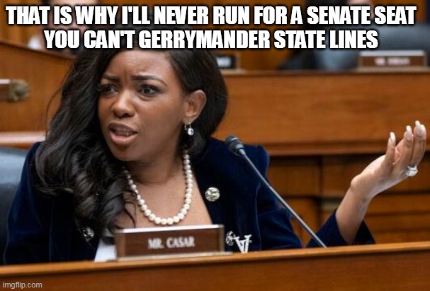 That's our "Jazzy" | THAT IS WHY I'LL NEVER RUN FOR A SENATE SEAT
YOU CAN'T GERRYMANDER STATE LINES | image tagged in jasmine crockett senate gerrymander meme | made w/ Imgflip meme maker