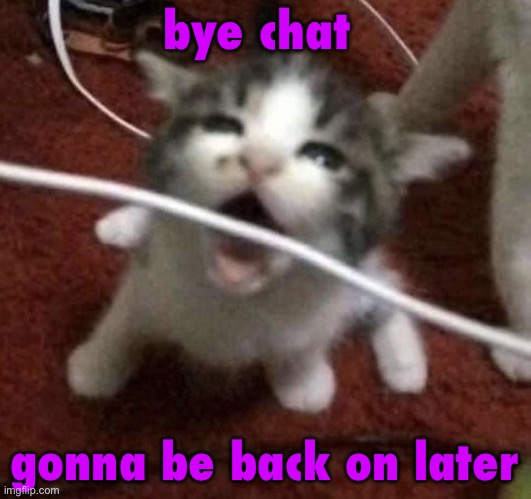 I LOVE EATING CABLES | bye chat; gonna be back on later | image tagged in i love eating cables | made w/ Imgflip meme maker