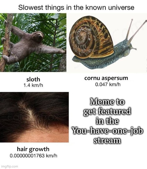 Maybe it's just me, but my meme hasn't get featured in You-have-one-job stream in 5 days. | Meme to get featured in the You-have-one-job stream | image tagged in slowest things,you had one job | made w/ Imgflip meme maker