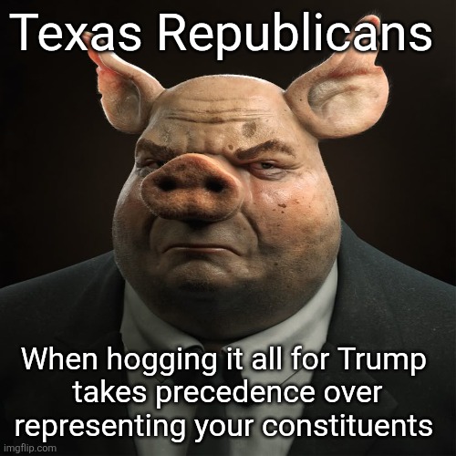 Trump slopps those Texas hogs | Texas Republicans; When hogging it all for Trump 
takes precedence over representing your constituents | image tagged in trump,texas gerrymandering power grab,maga cheating they love it,hogs want it all,corruption | made w/ Imgflip meme maker