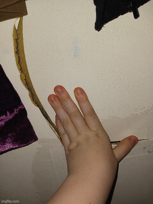 I forgot I crashed TF out yestadayyyy | made w/ Imgflip meme maker