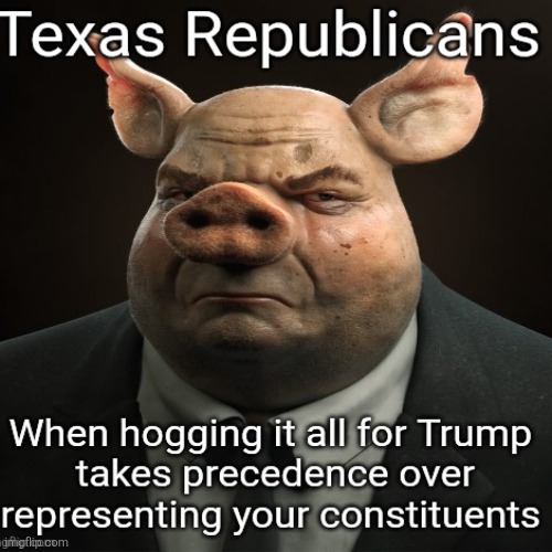 Trump slops his Texas hogs | image tagged in texas hogs,constituents are an afterthought in texas,destroy democracy,power grab pigs,maga loves this stuff | made w/ Imgflip meme maker