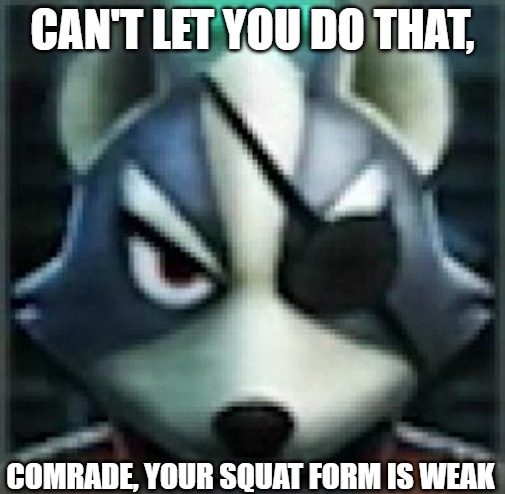 Can't let you do that Starfox | CAN'T LET YOU DO THAT, COMRADE, YOUR SQUAT FORM IS WEAK | image tagged in can't let you do that starfox,slavic lives matter | made w/ Imgflip meme maker