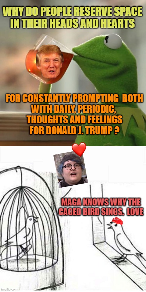 H8ers exhibit their LOVE/HATE relationship for ALL TO SEE, by wearing Trump on their sleeve | WHY DO PEOPLE RESERVE SPACE
IN THEIR HEADS AND HEARTS; FOR CONSTANTLY PROMPTING  BOTH
WITH DAILY, PERIODIC, 
THOUGHTS AND FEELINGS
FOR DONALD J. TRUMP ? MAGA KNOWS WHY THE CAGED BIRD SINGS.  LOVE | image tagged in bird in a cage,trump,president trump,love wins,true love,haters gonna hate | made w/ Imgflip meme maker