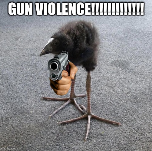 Pukeko chick | GUN VIOLENCE!!!!!!!!!!!!! | image tagged in pukeko chick | made w/ Imgflip meme maker