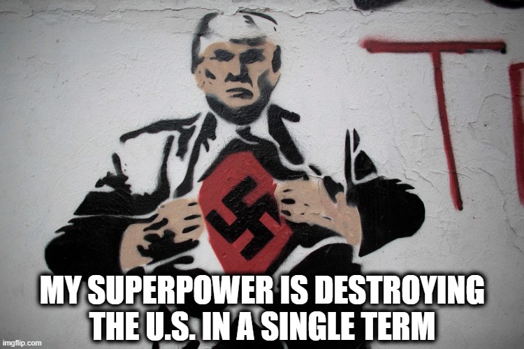 Super Nazi | MY SUPERPOWER IS DESTROYING THE U.S. IN A SINGLE TERM | image tagged in nazi trump | made w/ Imgflip meme maker