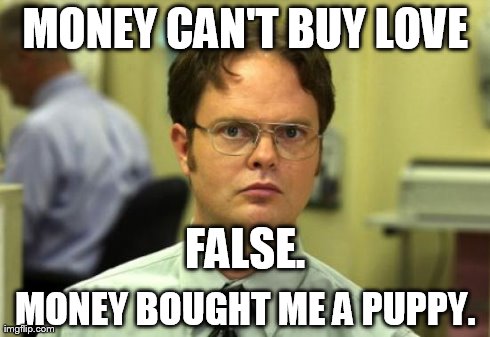 Dwight Schrute | MONEY CAN'T BUY LOVE MONEY BOUGHT ME A PUPPY. FALSE. | image tagged in memes,dwight schrute | made w/ Imgflip meme maker