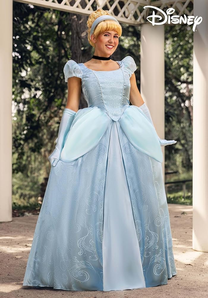 Amazon.com: Fun Costumes Disney Premium Cinderella Dress for Wom Blank Meme Template