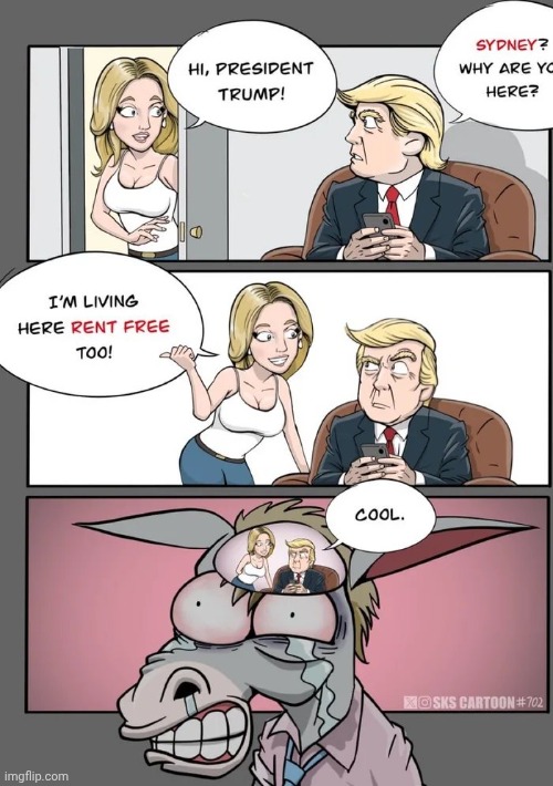 They can't let anything go | image tagged in liberals,elephants never forget,donkeys too,in their heads,forever | made w/ Imgflip meme maker