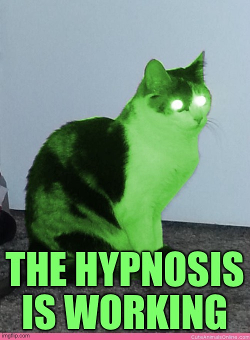 Hypno Raycat | THE HYPNOSIS IS WORKING | image tagged in hypno raycat | made w/ Imgflip meme maker