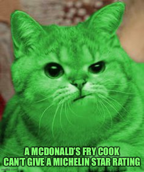 RayCat Annoyed | A MCDONALD’S FRY COOK CAN’T GIVE A MICHELIN STAR RATING | image tagged in raycat annoyed | made w/ Imgflip meme maker