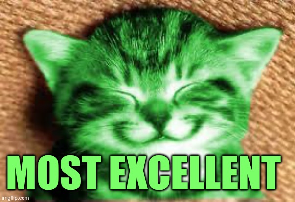 happy RayCat | MOST EXCELLENT | image tagged in happy raycat | made w/ Imgflip meme maker