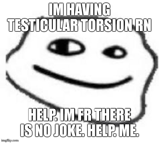 Some mf casted there mfing spell against my balls or something like bor its been 10 minutes | IM HAVING TESTICULAR TORSION RN; HELP. IM FR THERE IS NO JOKE. HELP. ME. | image tagged in we do a little trolling | made w/ Imgflip meme maker