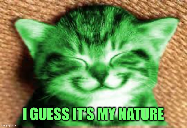 happy RayCat | I GUESS IT’S MY NATURE | image tagged in happy raycat | made w/ Imgflip meme maker