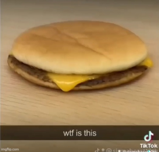 flat ahh cheeseburger | image tagged in wtf is this,wtf is tihs,wft is this,tfw is this | made w/ Imgflip meme maker