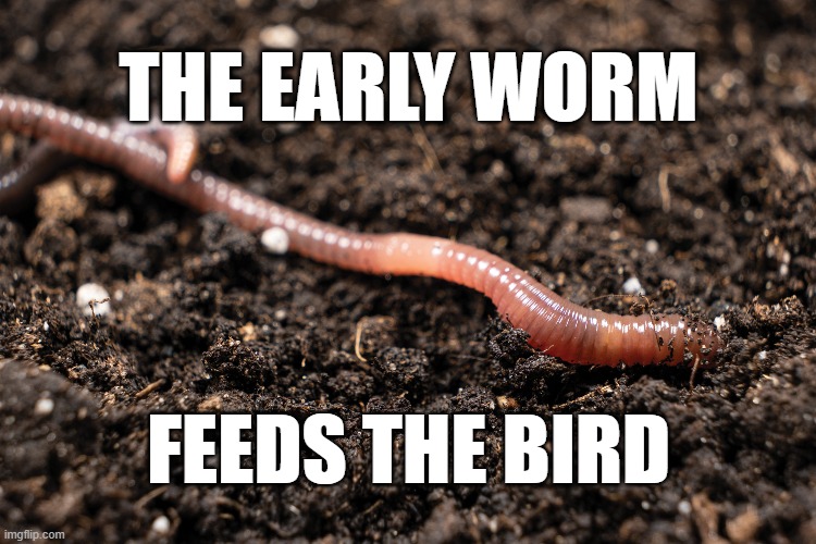 early worm | THE EARLY WORM; FEEDS THE BIRD | image tagged in early worm | made w/ Imgflip meme maker